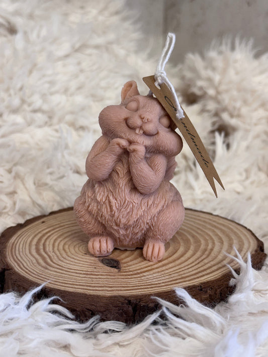 Vela decorativa Ardilla